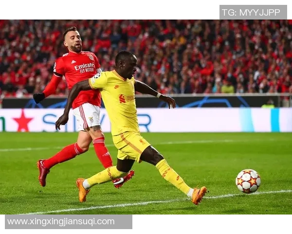 欧冠激战利物浦大胜本菲卡五球狂潮战术解析引发全场狂欢